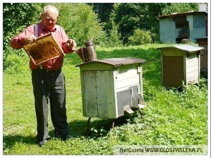 Pszczelarze mają co robić