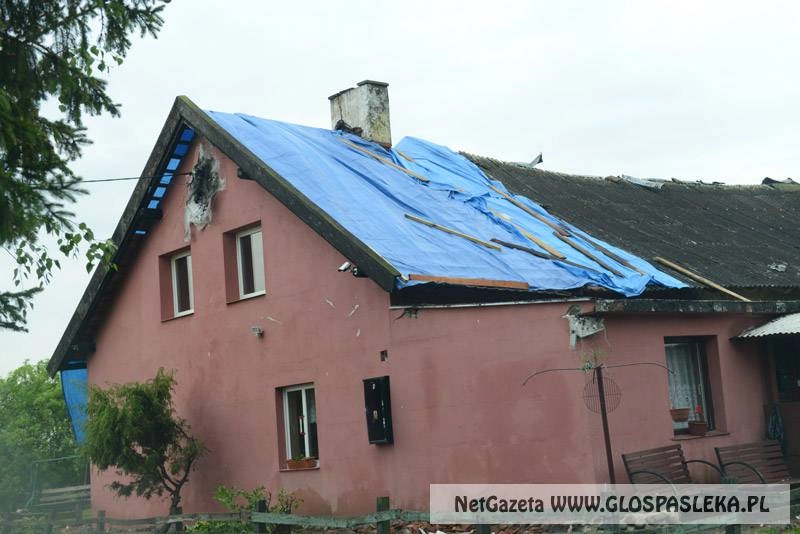 Listy - Zielony Grąd po uderzeniu pioruna