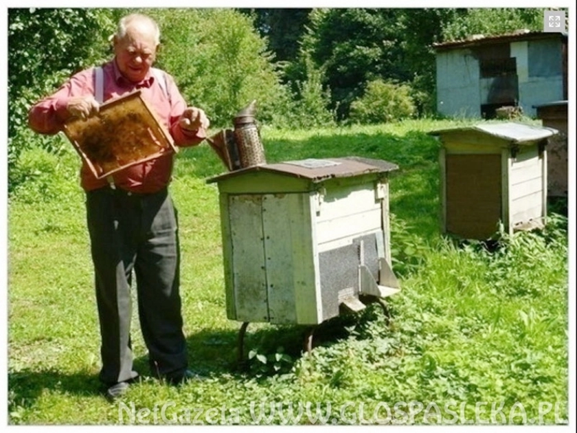 Zebranie pszczelarzy