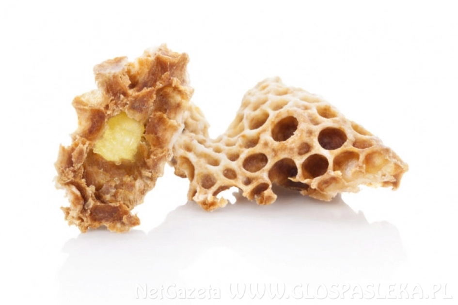 Mleczko pszczele – niezwykły eliksir młodości – poznaj jego zastosowania