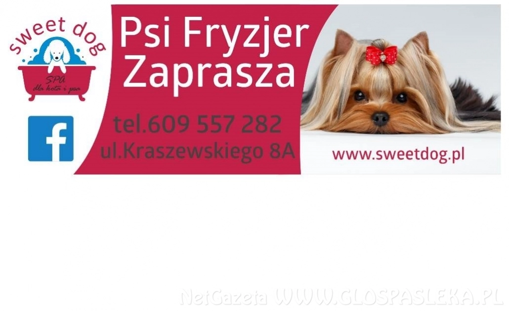 Salon Groomerski Sweet Dog SPA dla kota i psa 