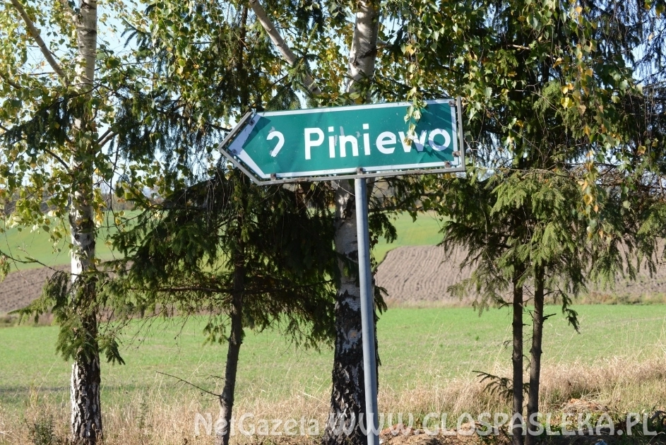 Budowa drogi Dargowo - Piniewo