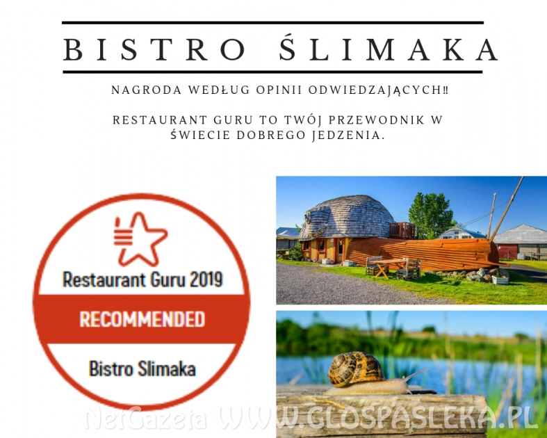 Światowe Restaurant Guru doceniło polskie ślimaki