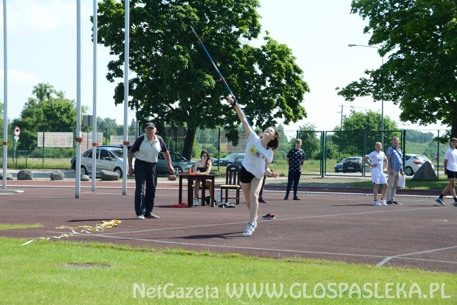 Mistrzostwa szkół podstawowych