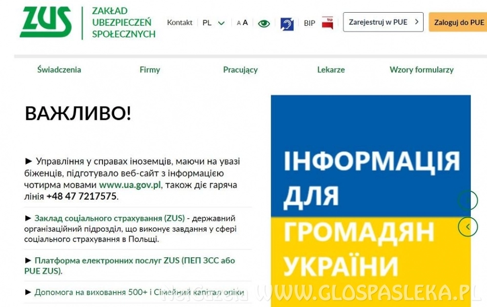 Duże zainteresowanie infolinią w języku ukraińskim obsługiwaną przez ZUS.
