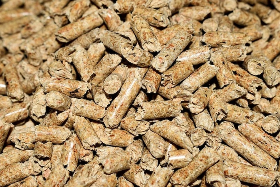 Co to jest pellet? - Ekologiczne paliwo do kotłów i kominków