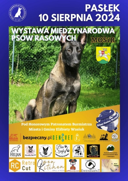 Wystawa psów rasowych - przypominamy