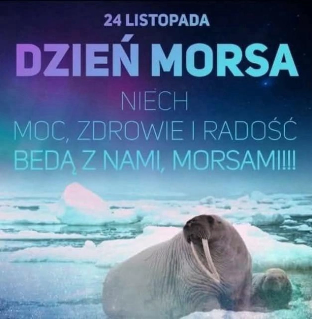 Morsowanie – samo zdrowie