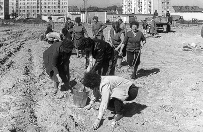 Miasto i Gmina Pasłęk wczoraj i dziś