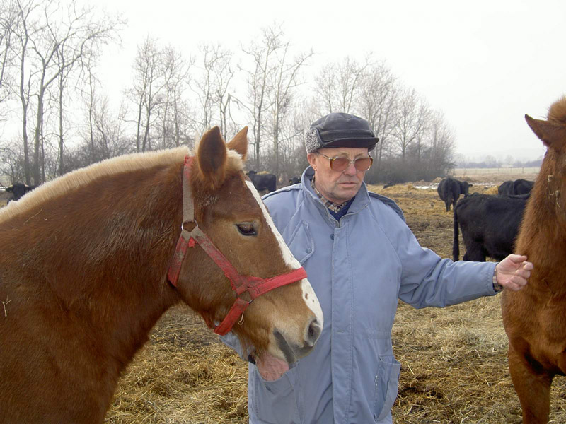 Zwierzęta i ludzie