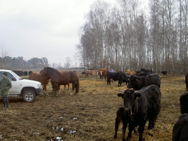 Zwierzęta i ludzie