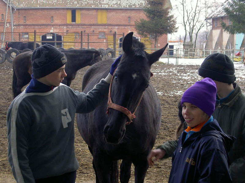 Zwierzęta i ludzie