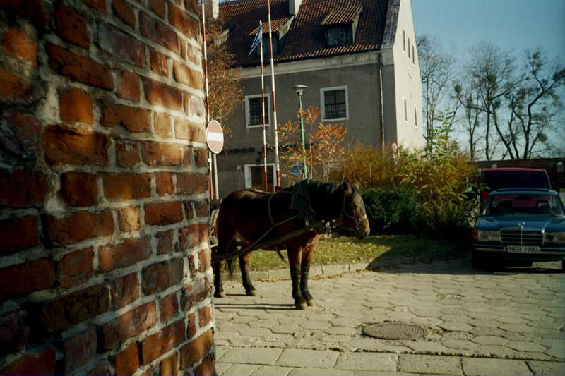 Zwierzęta i ludzie