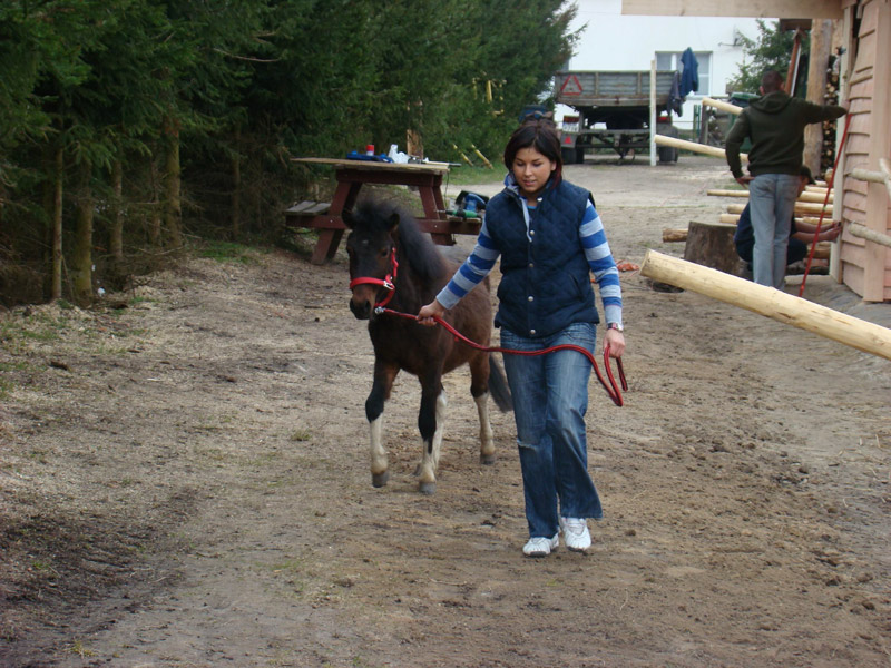 Zwierzęta i ludzie