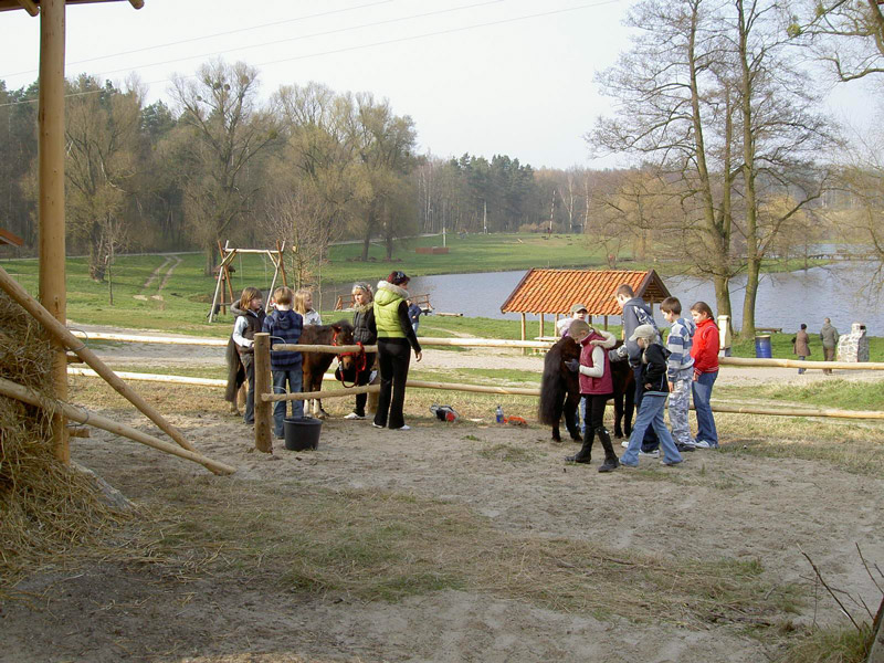 Zwierzęta i ludzie