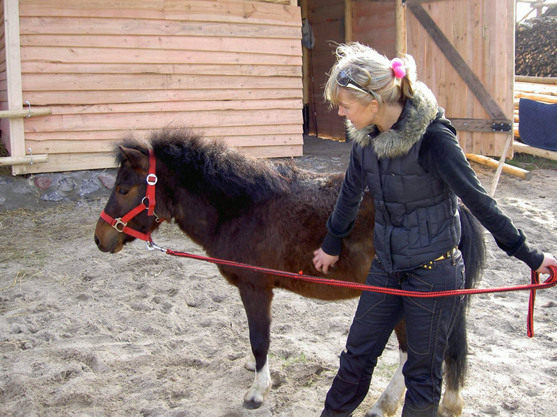 Zwierzęta i ludzie