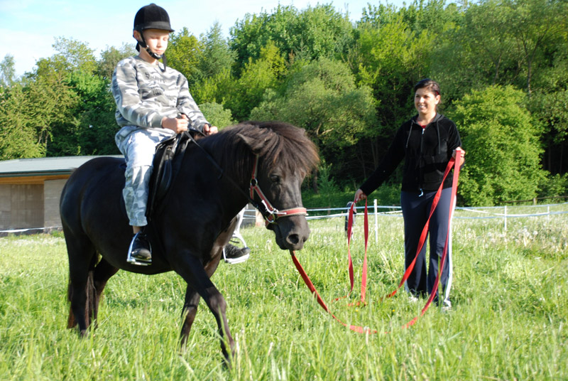 Zwierzęta i ludzie