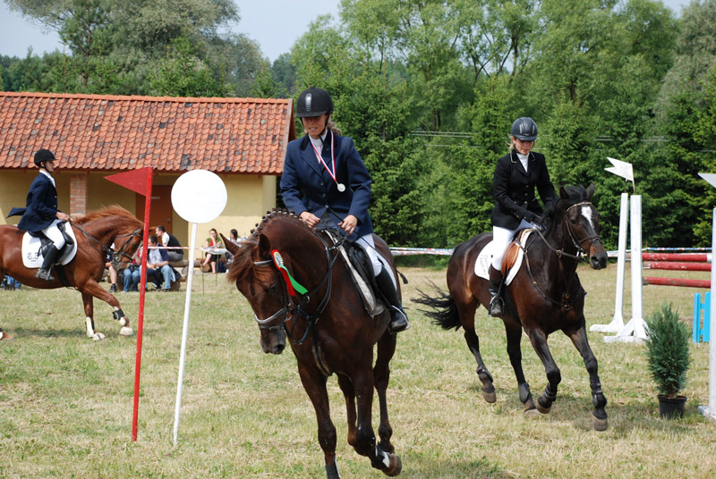 Zwierzęta i ludzie