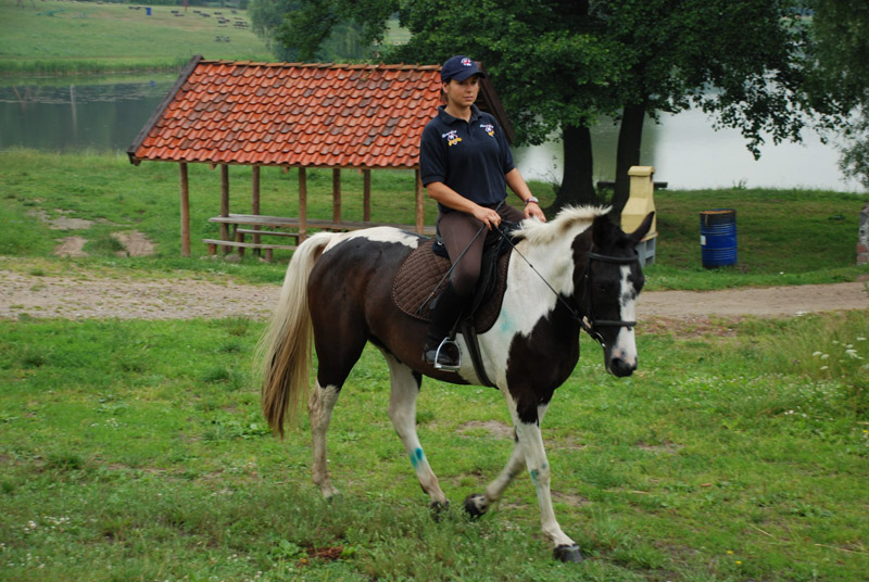 Zwierzęta i ludzie