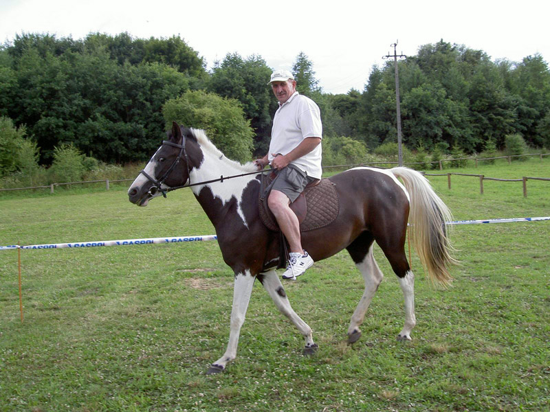 Zwierzęta i ludzie