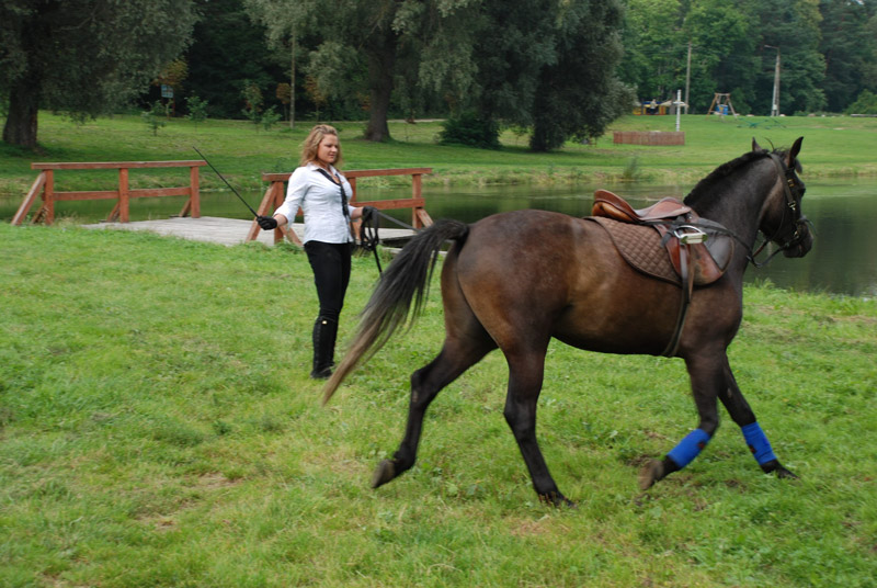 Zwierzęta i ludzie