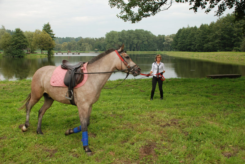 Zwierzęta i ludzie