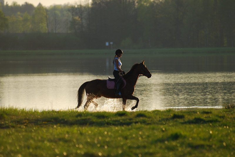 Zwierzęta i ludzie