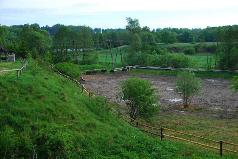 Zwierzęta i ludzie