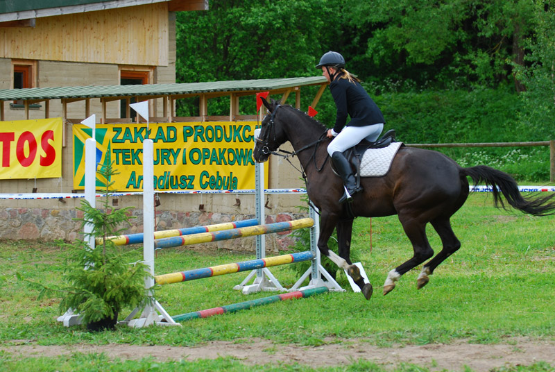 Zwierzęta i ludzie