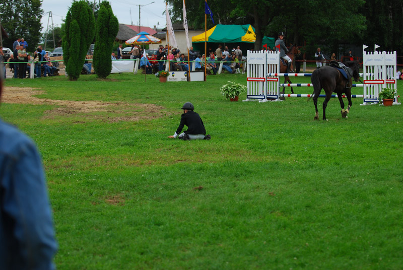 Zwierzęta i ludzie