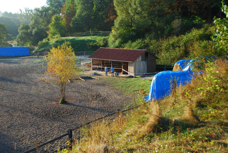 Zwierzęta i ludzie