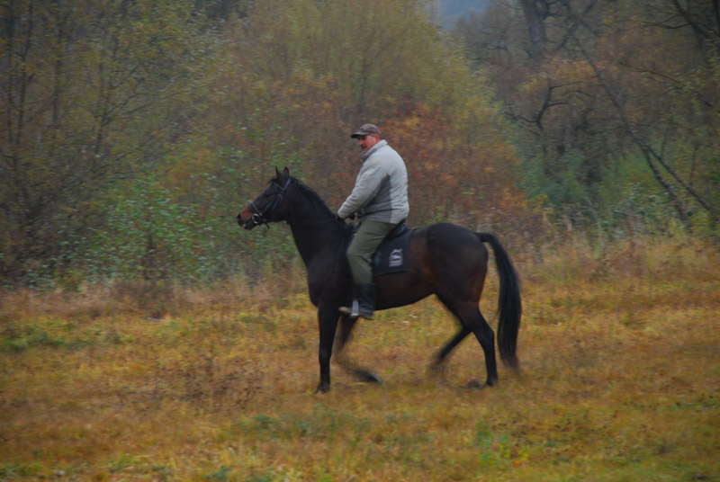 Zwierzęta i ludzie