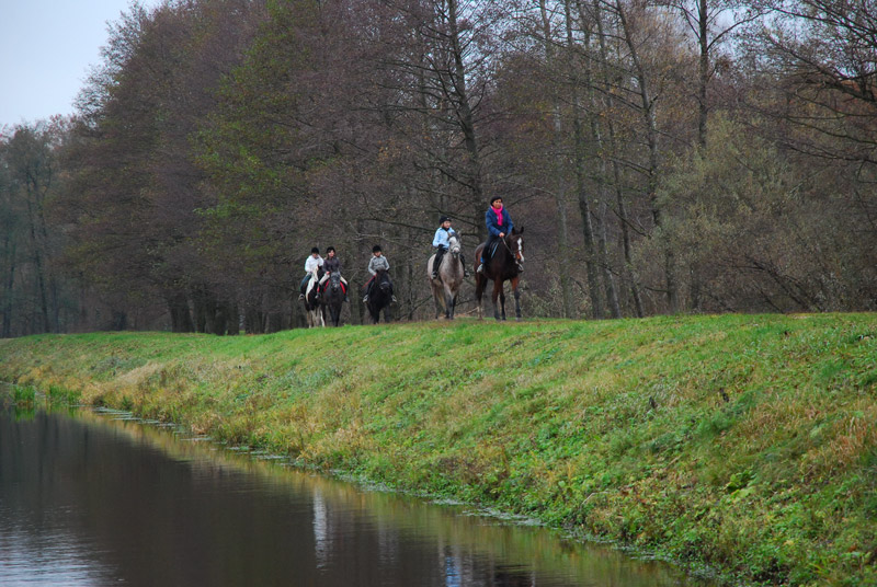 Zwierzęta i ludzie