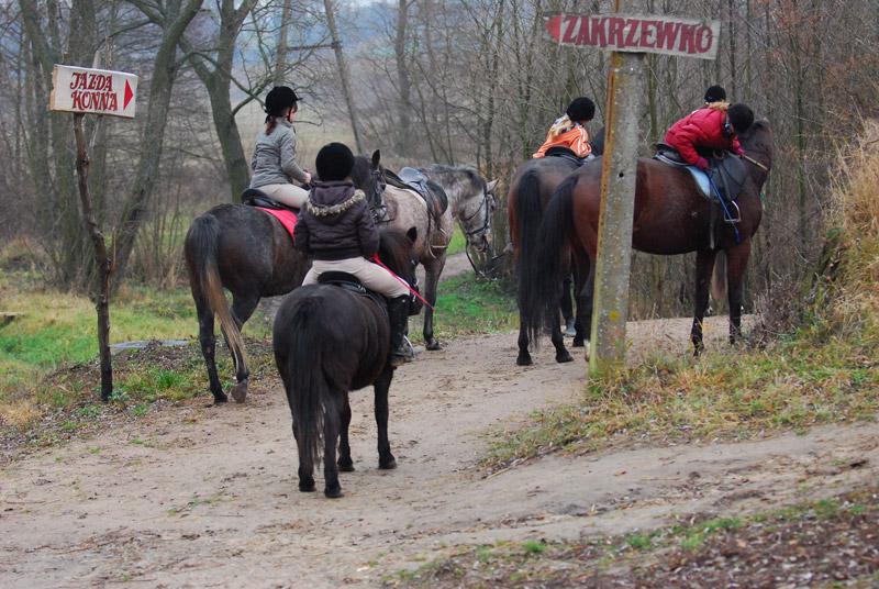 Zwierzęta i ludzie