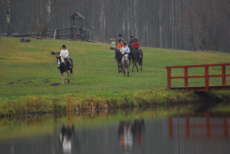 Zwierzęta i ludzie