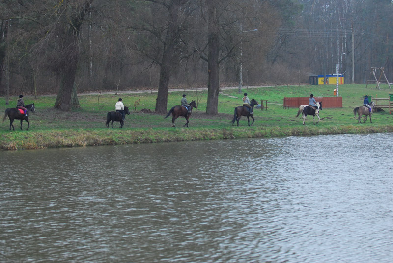 Zwierzęta i ludzie