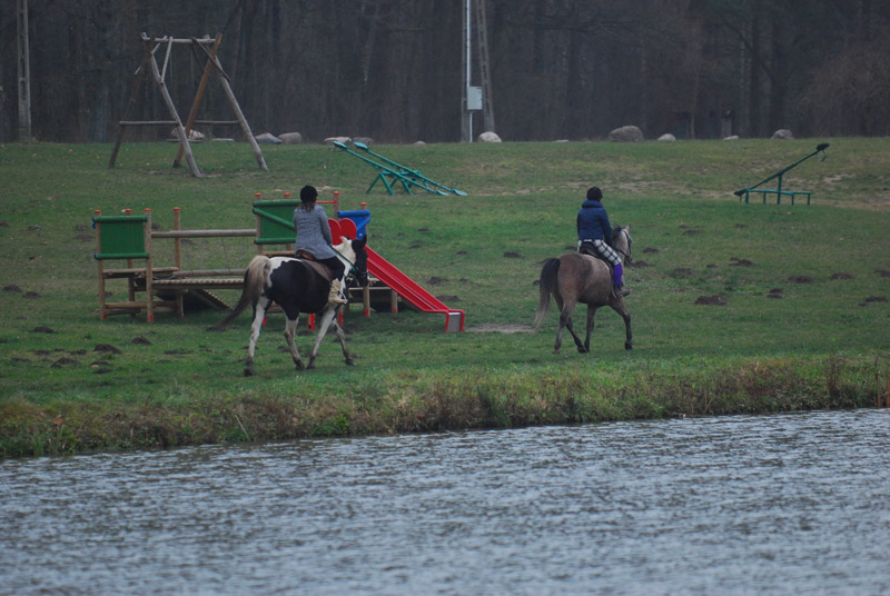 Zwierzęta i ludzie