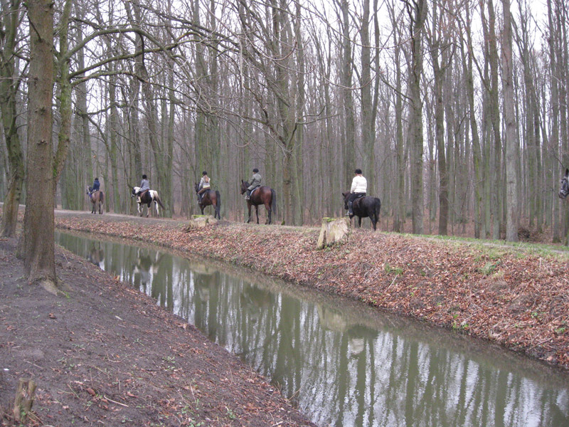 Zwierzęta i ludzie