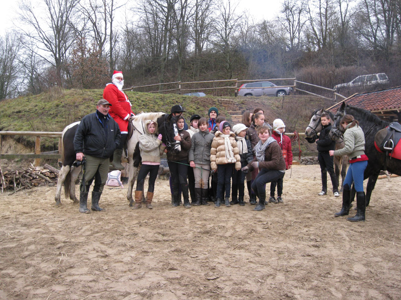 Zwierzęta i ludzie