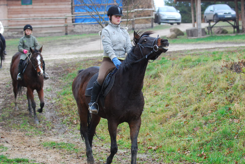 Zwierzęta i ludzie