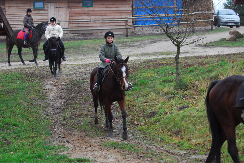 Zwierzęta i ludzie