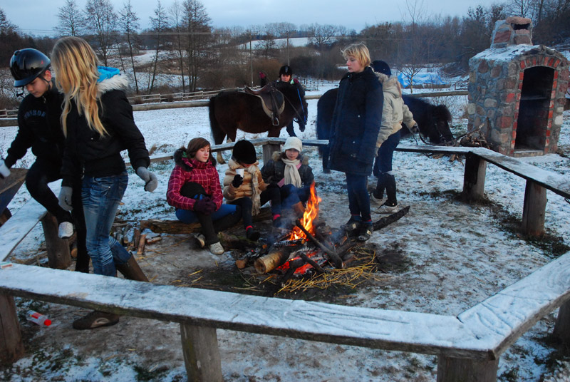 Zwierzęta i ludzie