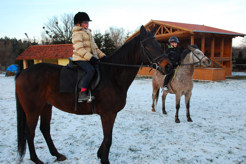 Zwierzęta i ludzie