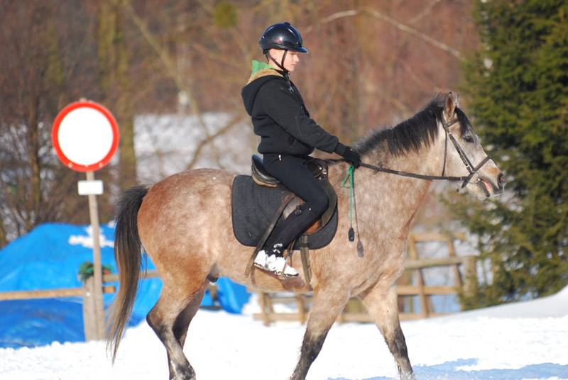 Zwierzęta i ludzie