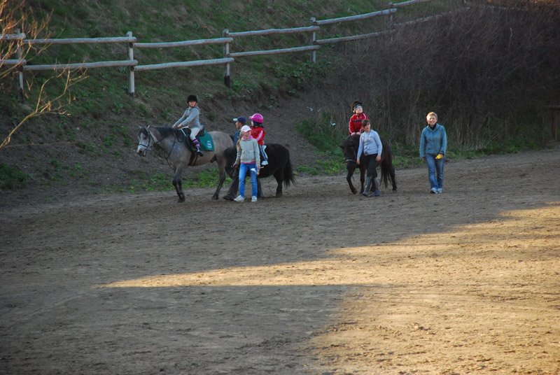 Zwierzęta i ludzie