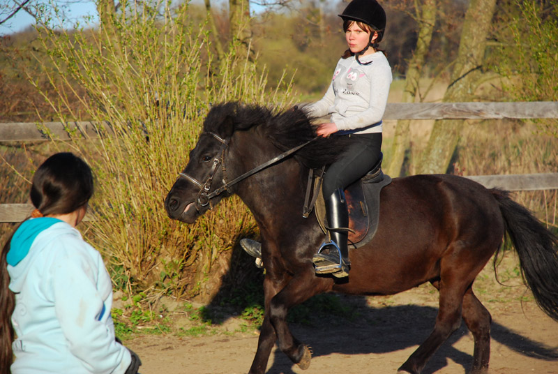 Zwierzęta i ludzie