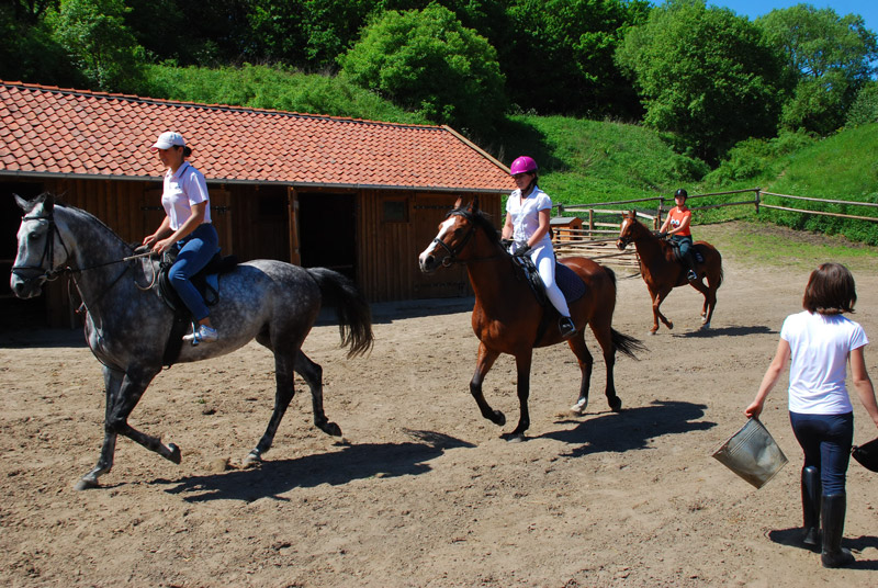 Zwierzęta i ludzie