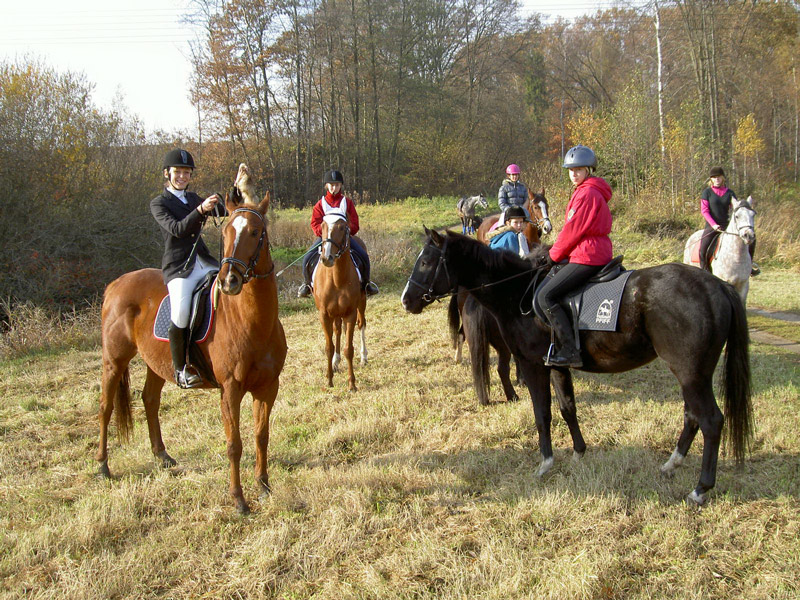 Zwierzęta i ludzie