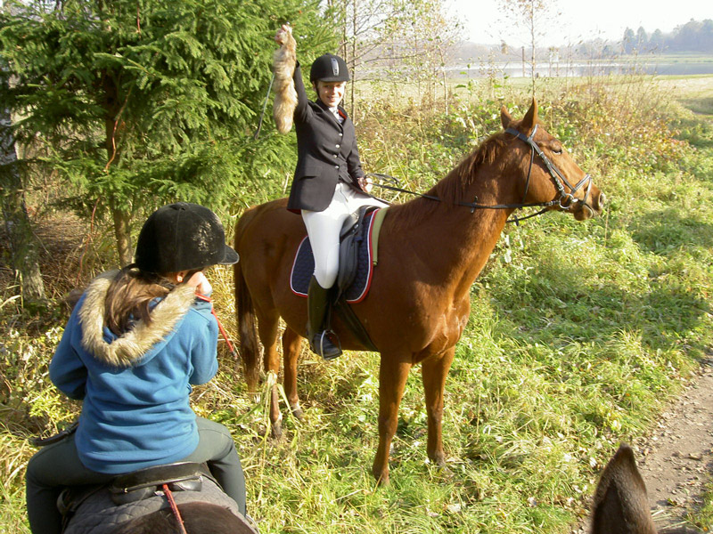 Zwierzęta i ludzie