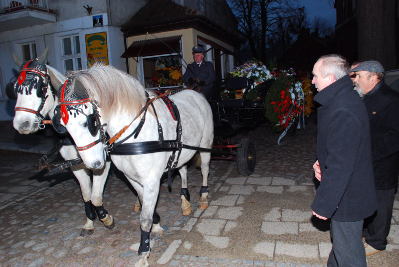 Zwierzęta i ludzie